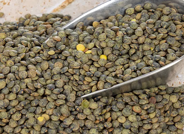 Lentilles vertes 1kg